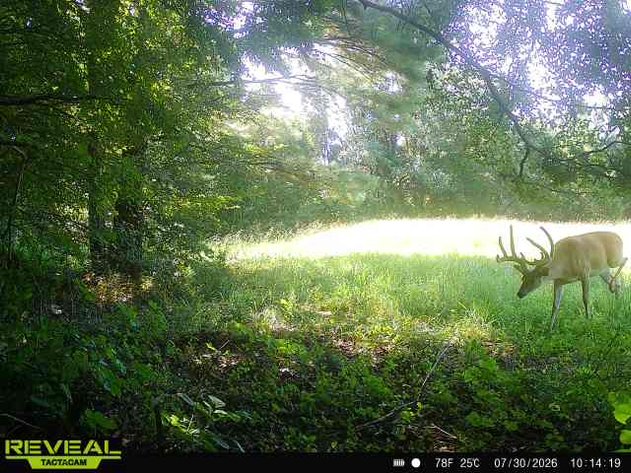 Image for 2181 Graham Cypress Road・Greenville
