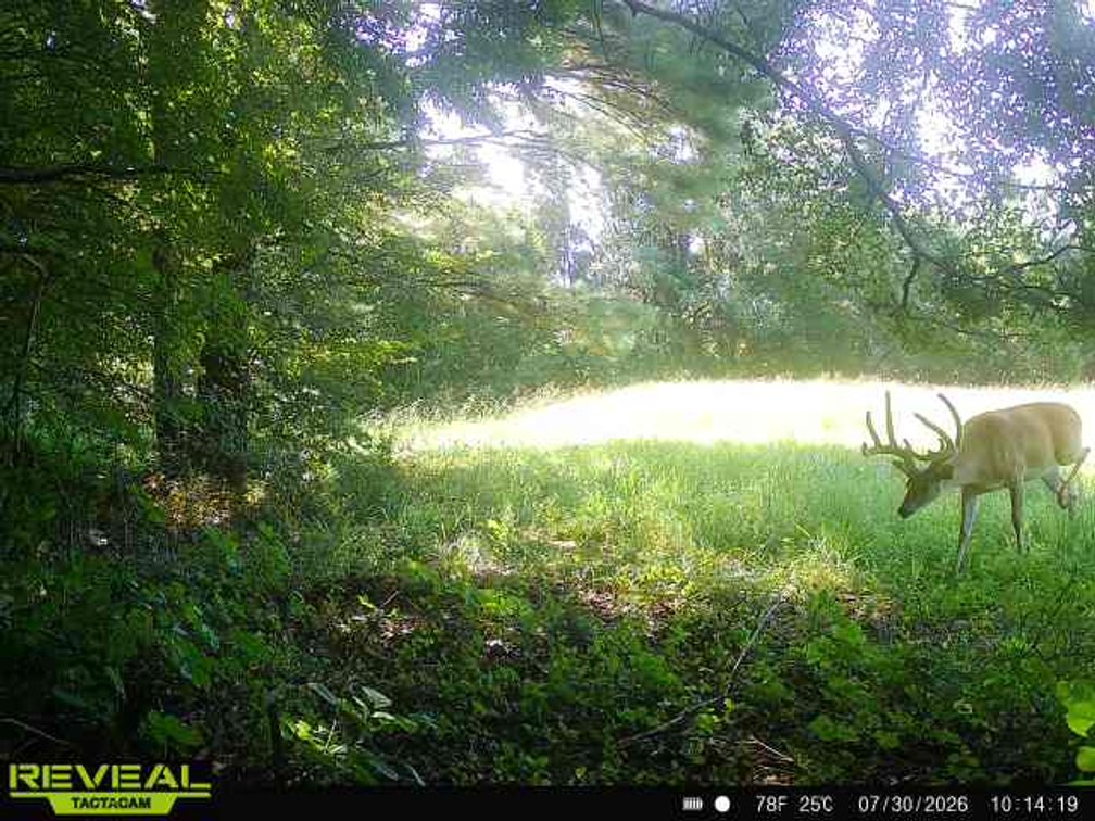 Image for 2181 Graham Cypress Road・Greenville