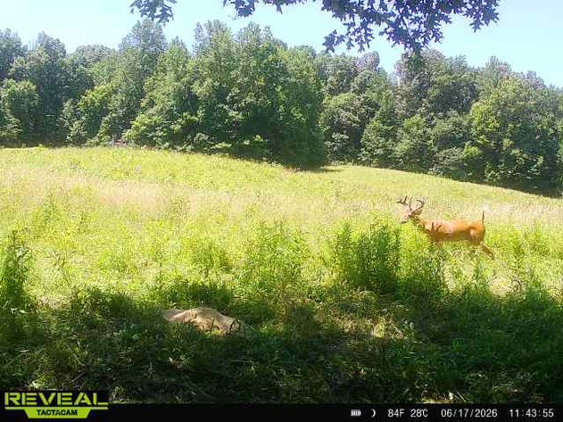 Image for 2181 Graham Cypress Road・Greenville