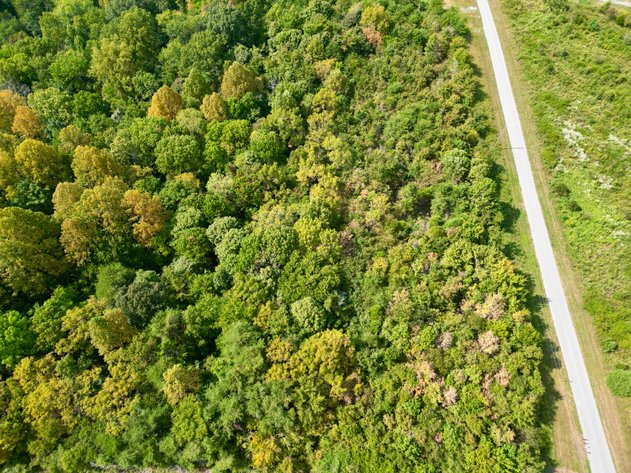 Image for Lot D11-E1・Kenton Drive・Belton