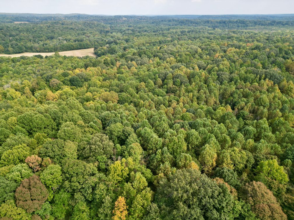 Image for State Route 949 & Penrod Lane・Dunmor