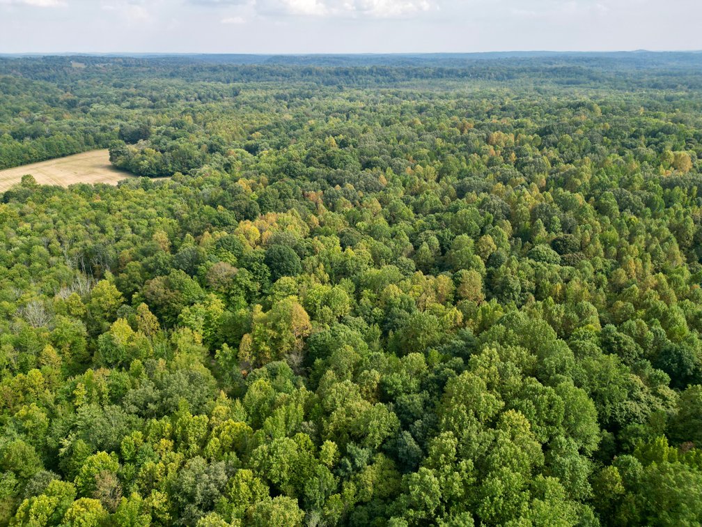 Image for State Route 949 & Penrod Lane・Dunmor