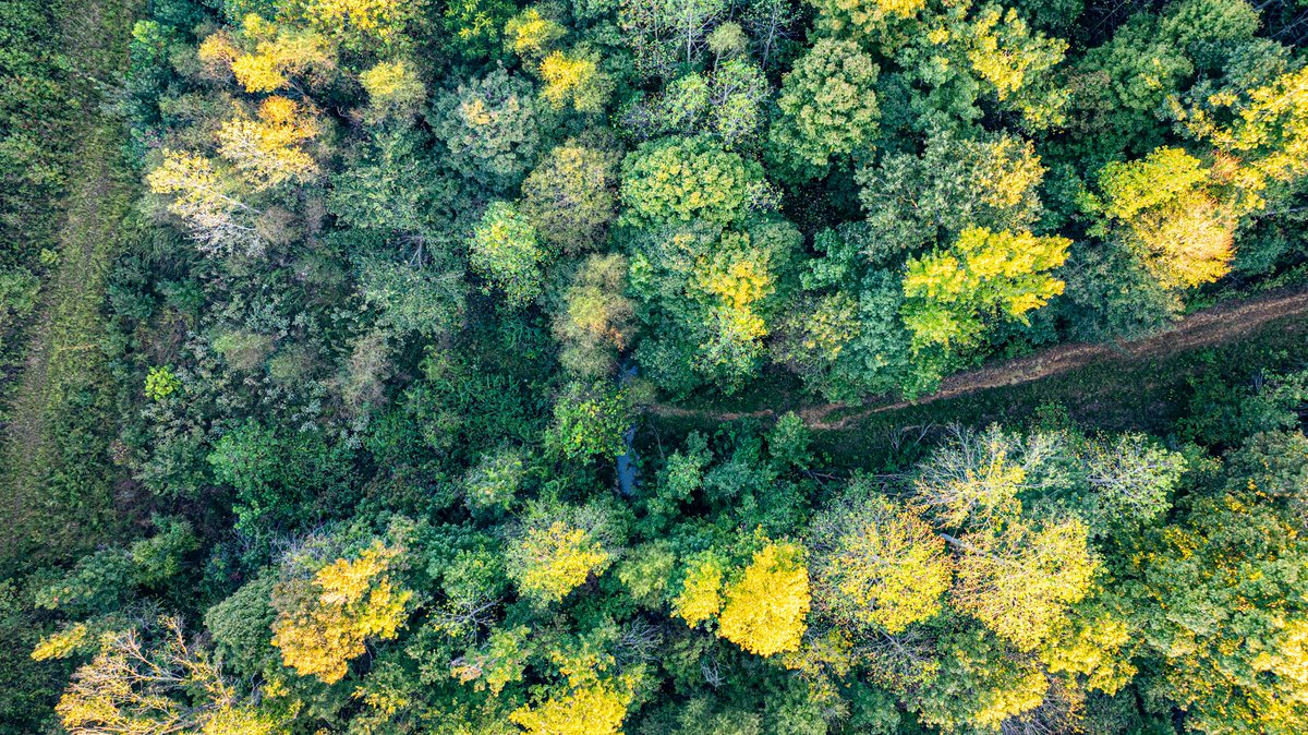 Image for 4 Tracts・Pallet Mill Road・Greenville