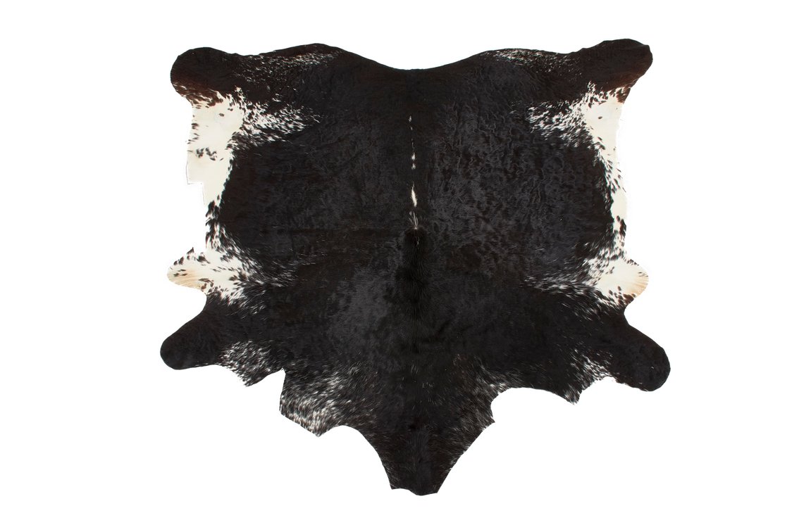 Image for Gray Gallery - Living  Estate and consignment auction