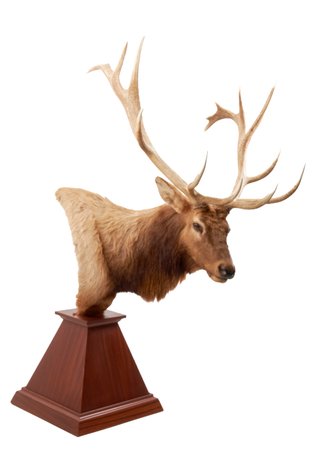 Image for 2 Night Labor Day Mega Auction Part 2