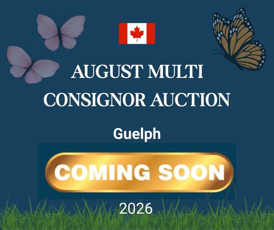 Image for August Multi Consignor Auction - Guelph
