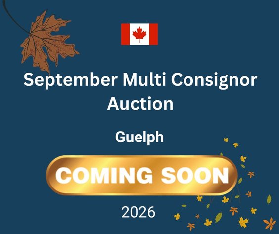 Image for September Multi Consignor Auction - Guelph