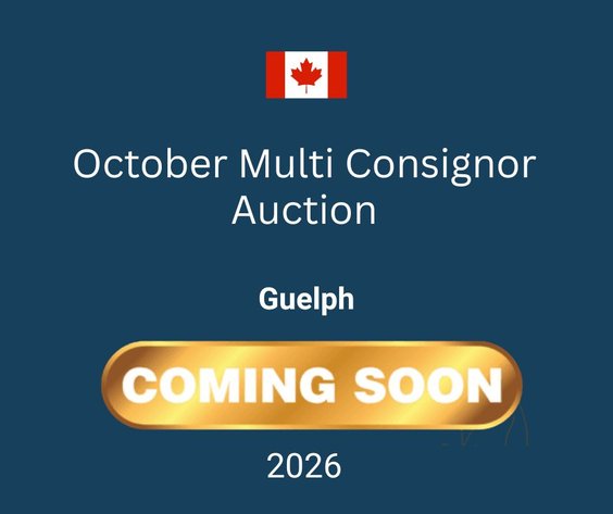 Image for October Multi Consignor Auction