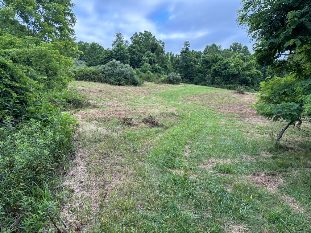 Image for Auction Sat. June 27th @ 10 A.M. Widener Valley Rd Glade Spring, VA