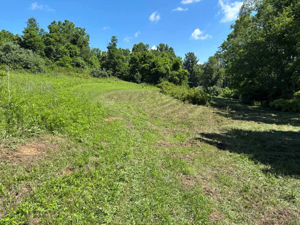 Image for Auction Sat. June 27th @ 10 A.M. Widener Valley Rd Glade Spring, VA