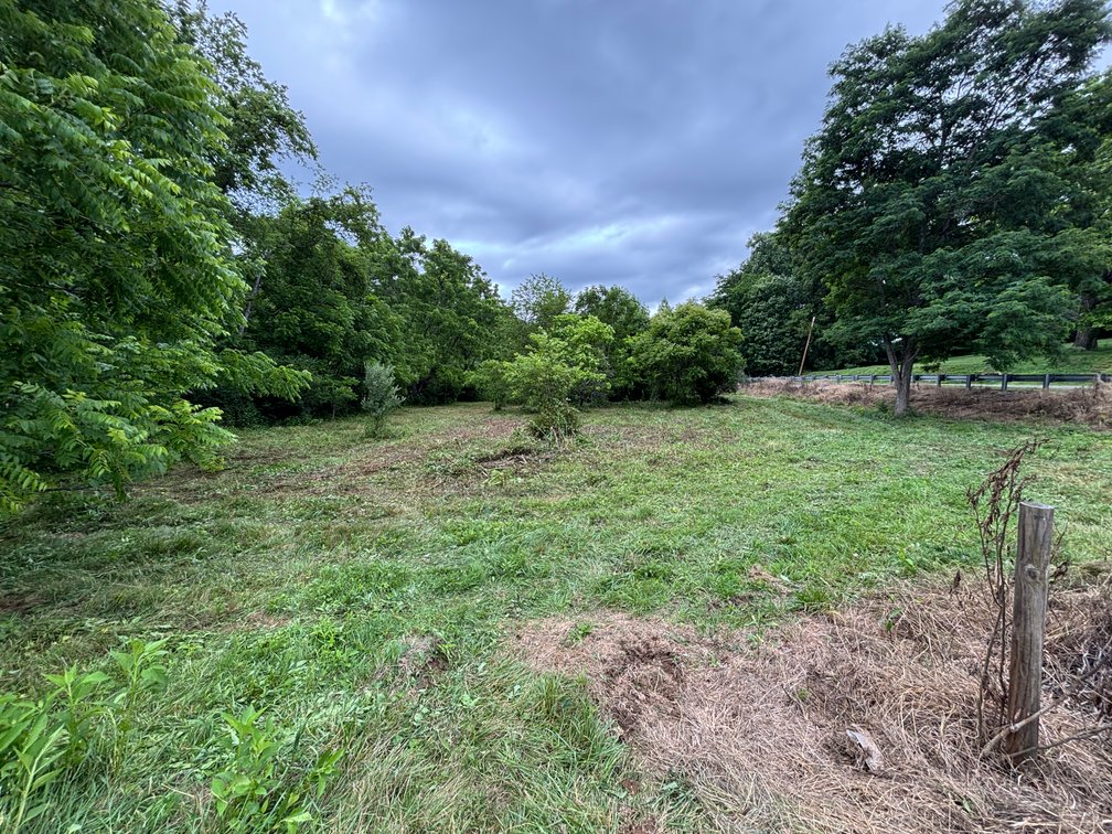 Image for Auction Sat. June 27th @ 10 A.M. Widener Valley Rd Glade Spring, VA