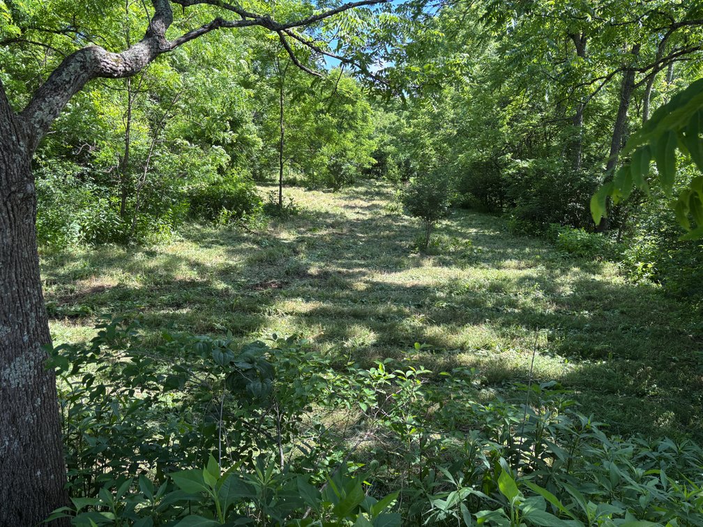Image for Auction Sat. June 27th @ 10 A.M. Widener Valley Rd Glade Spring, VA