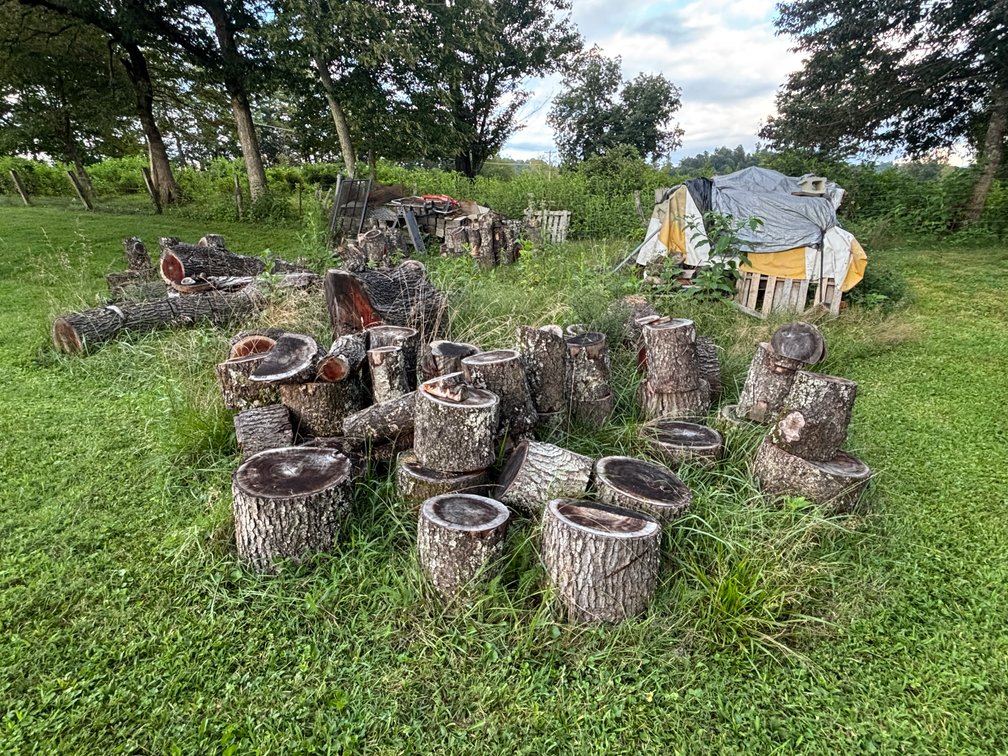 Image for Steven T. McCann Estate, Auction Sat. Sept. 12 @ 10 A. M. * 23210 Mock Knob Rd. Bristol, Va.