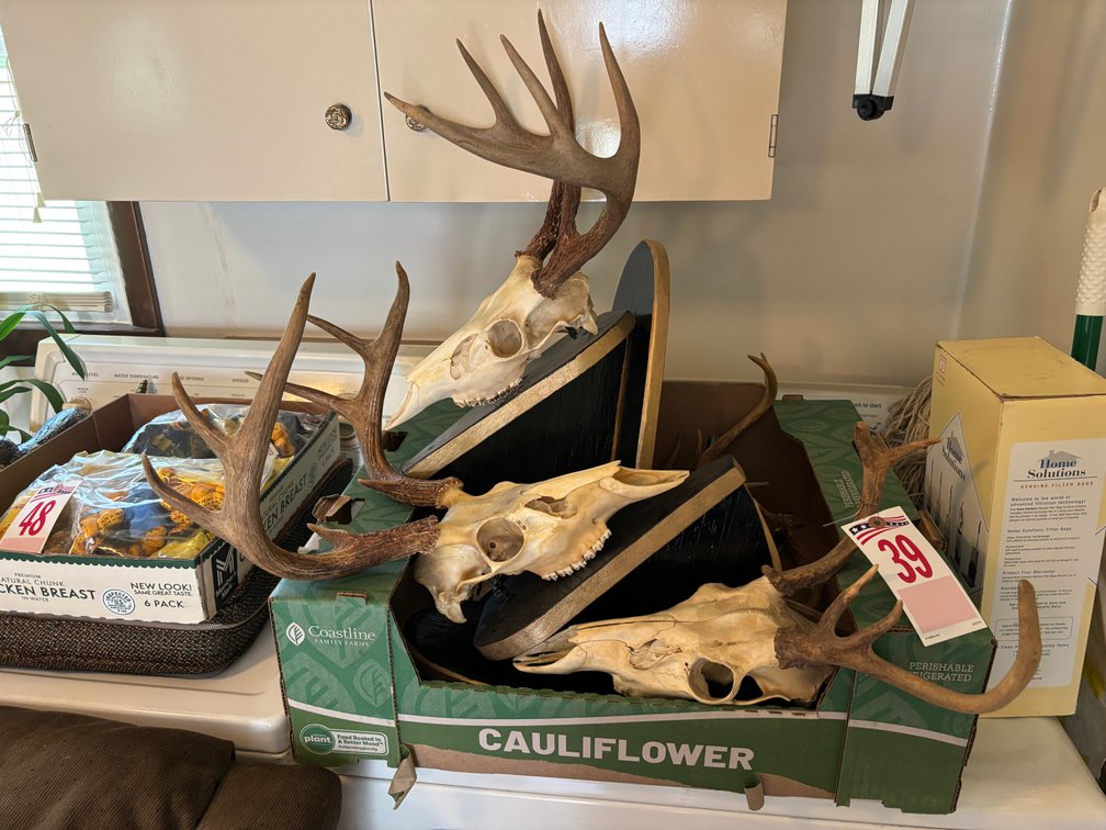 Image for Steven T. McCann Estate, Auction Sat. Sept. 12 @ 10 A. M. * 23210 Mock Knob Rd. Bristol, Va.