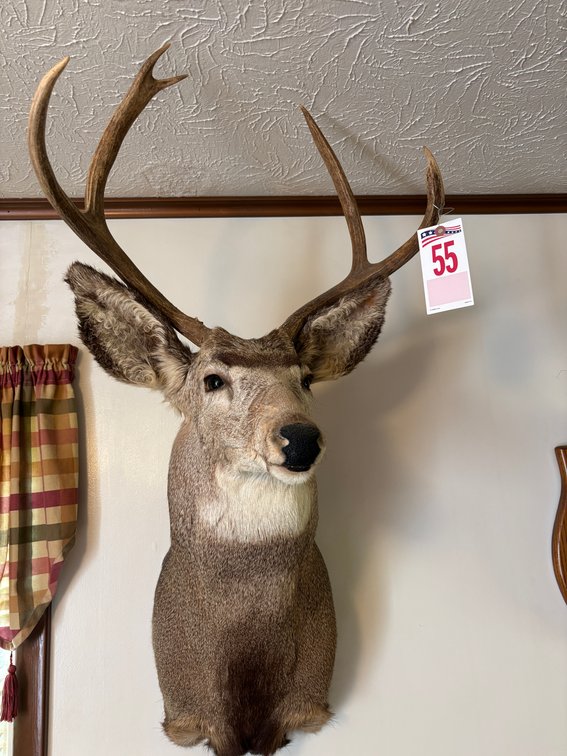 Image for Steven T. McCann Estate, Auction Sat. Sept. 12 @ 10 A. M. * 23210 Mock Knob Rd. Bristol, Va.