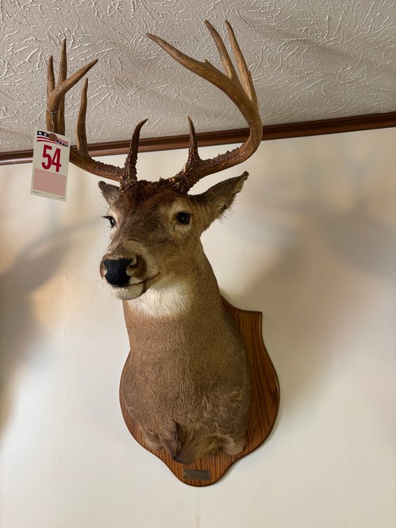 Image for Steven T. McCann Estate, Auction Sat. Sept. 12 @ 10 A. M. * 23210 Mock Knob Rd. Bristol, Va.