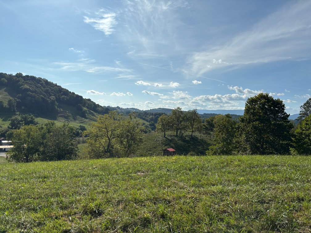 Image for Don Findley Auction Sat. Oct. 17 @ 10 A.M. 28369 Smyth Chapel Rd. Meadowview, Virginia