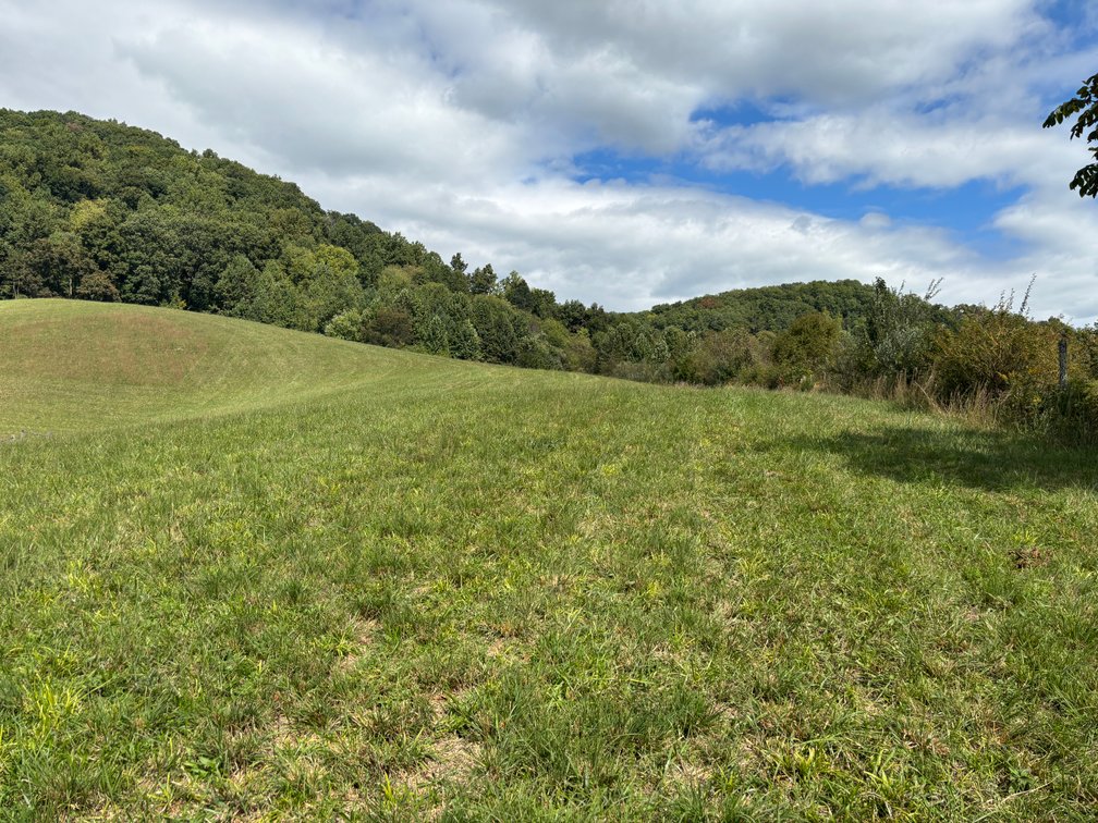 Image for Don Findley Auction Sat. Oct. 17 @ 10 A.M. 28369 Smyth Chapel Rd. Meadowview, Virginia