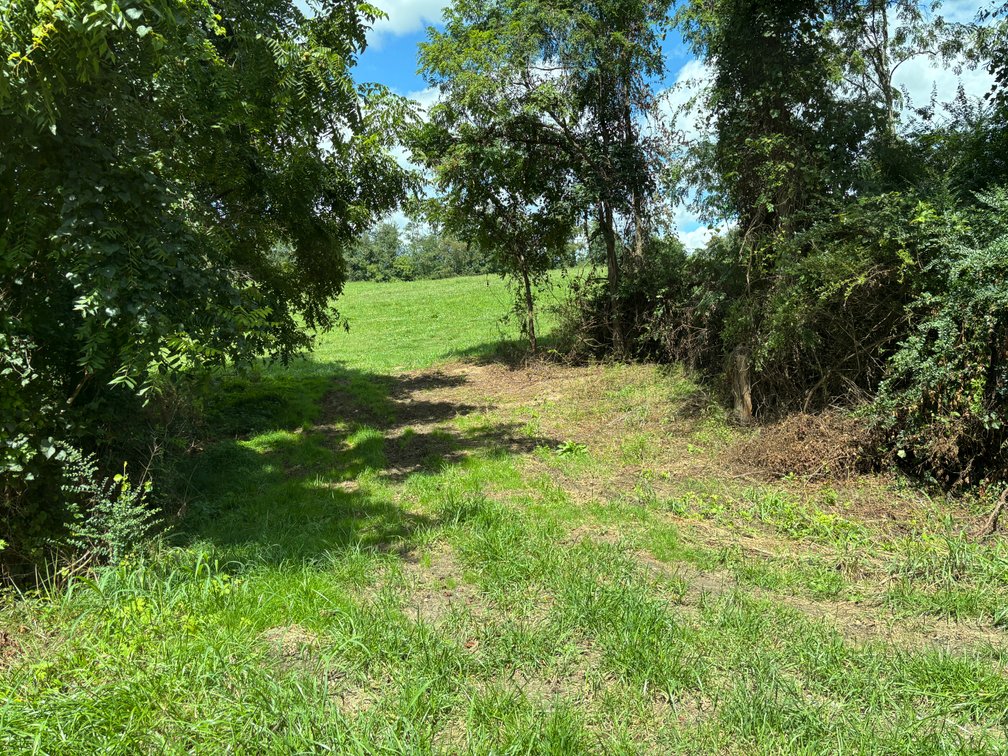 Image for Millsap Auction Sept. 20 @ 10 AM * TBD: Harrison Rd. Abingdon, VA