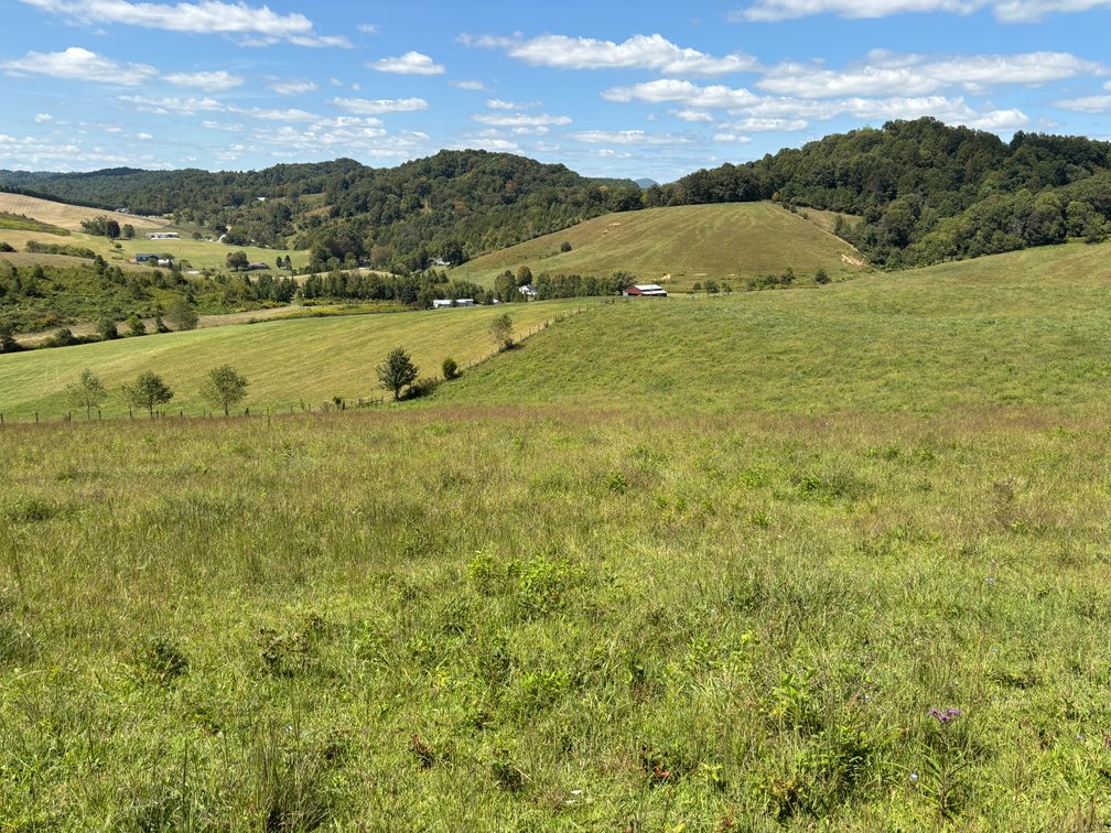 Image for McCroskey Auction Sat. Oct. 25 @ 10 A.M. 15058 Rich Valley Rd. Abingdon, VA. 24210
