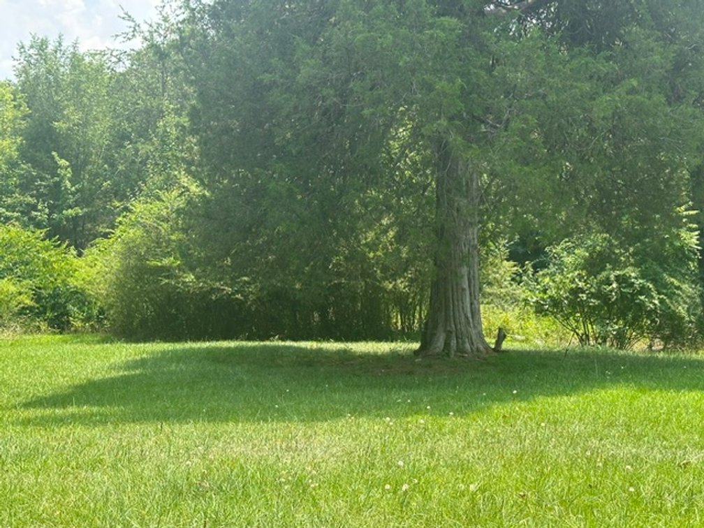 Image for 721 Crowder Rd., Madison, NC