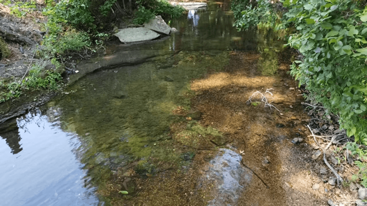 Image for Cow Hollow Creek w/15 acres  - 1263 Hwy 438 SW, Centerville, TN 37033
