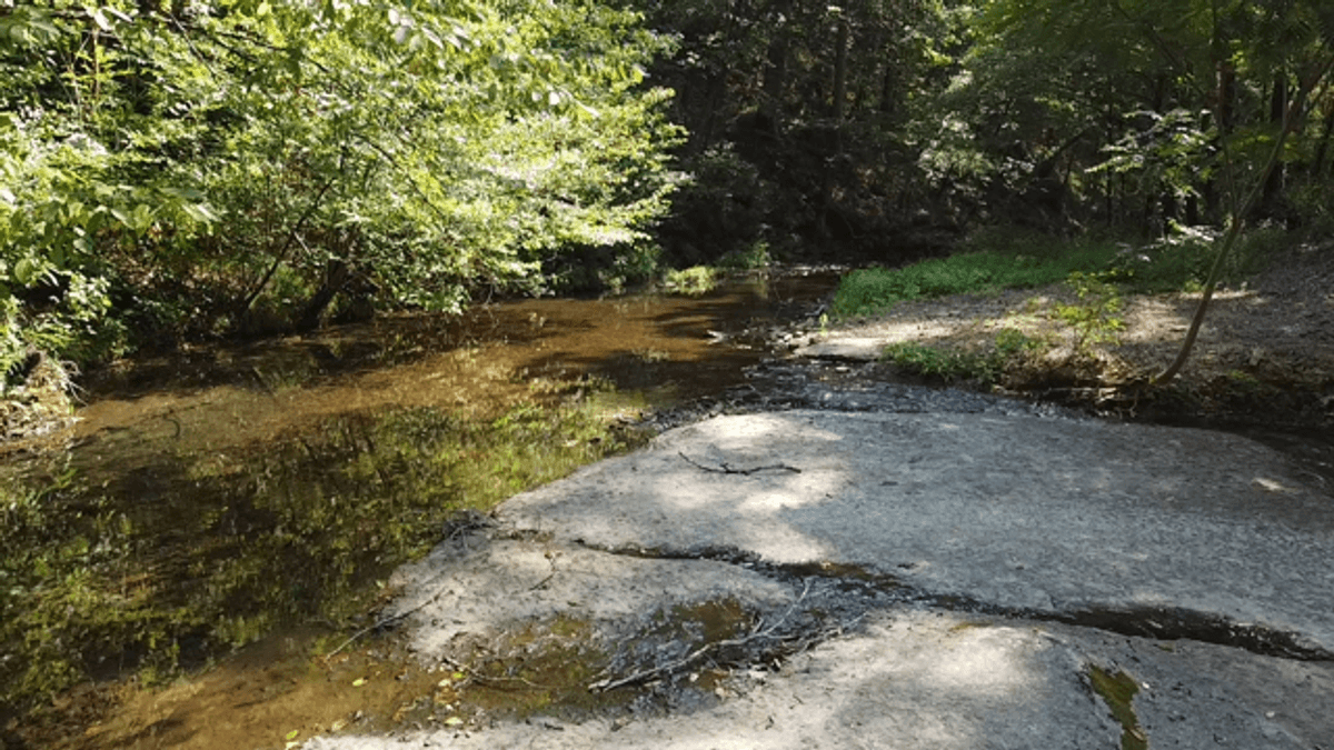 Image for Cow Hollow Creek w/15 acres  - 1263 Hwy 438 SW, Centerville, TN 37033