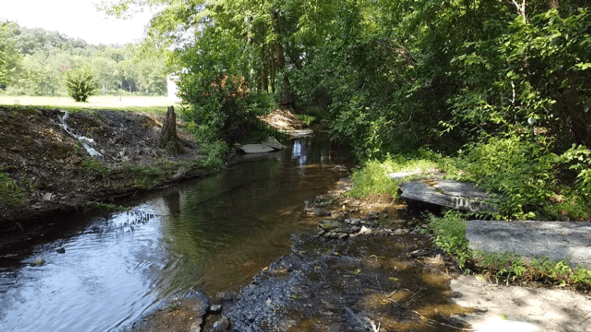 Image for Cow Hollow Creek w/15 acres  - 1263 Hwy 438 SW, Centerville, TN 37033