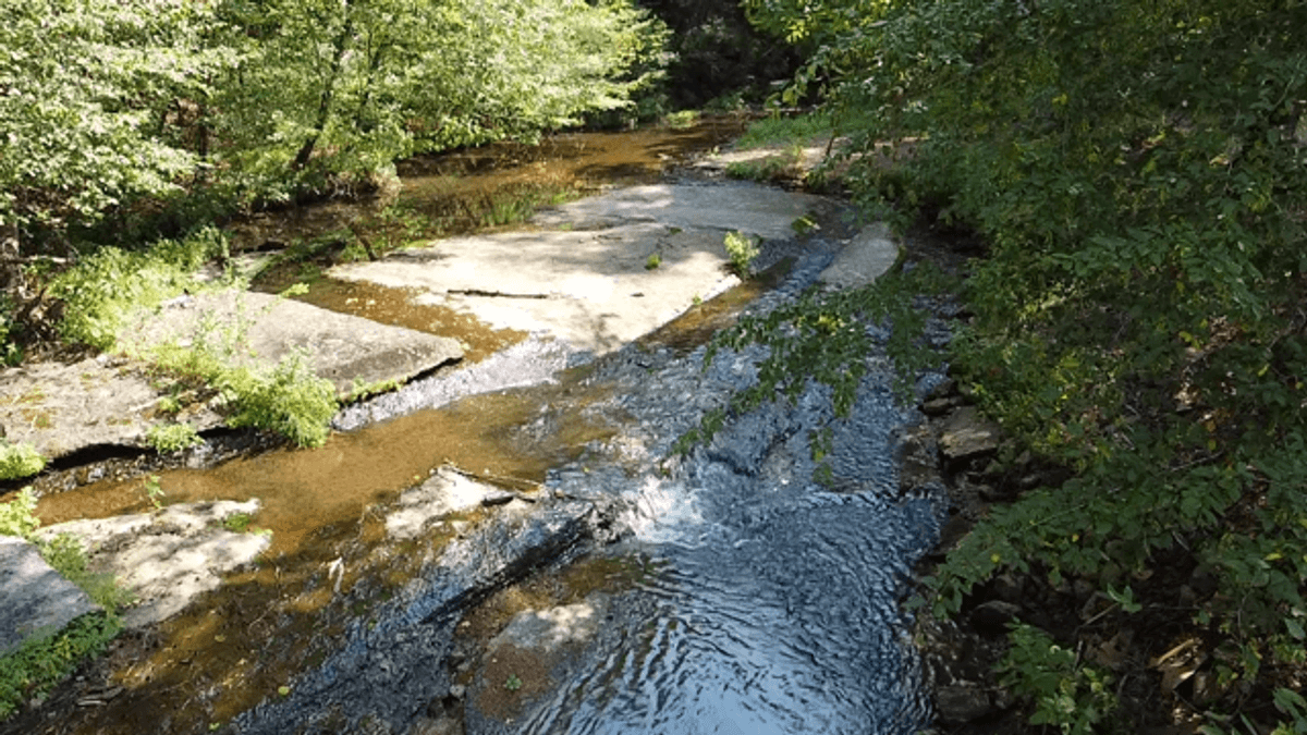 Image for Cow Hollow Creek w/15 acres  - 1263 Hwy 438 SW, Centerville, TN 37033