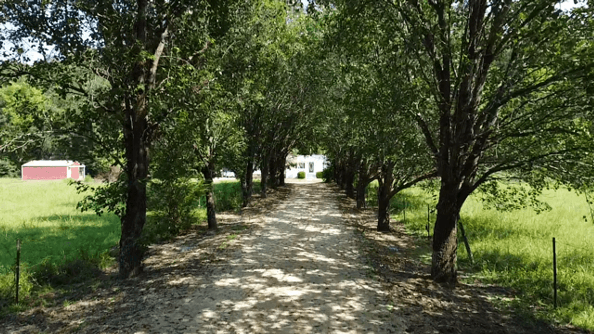 Image for Cow Hollow Creek w/15 acres  - 1263 Hwy 438 SW, Centerville, TN 37033