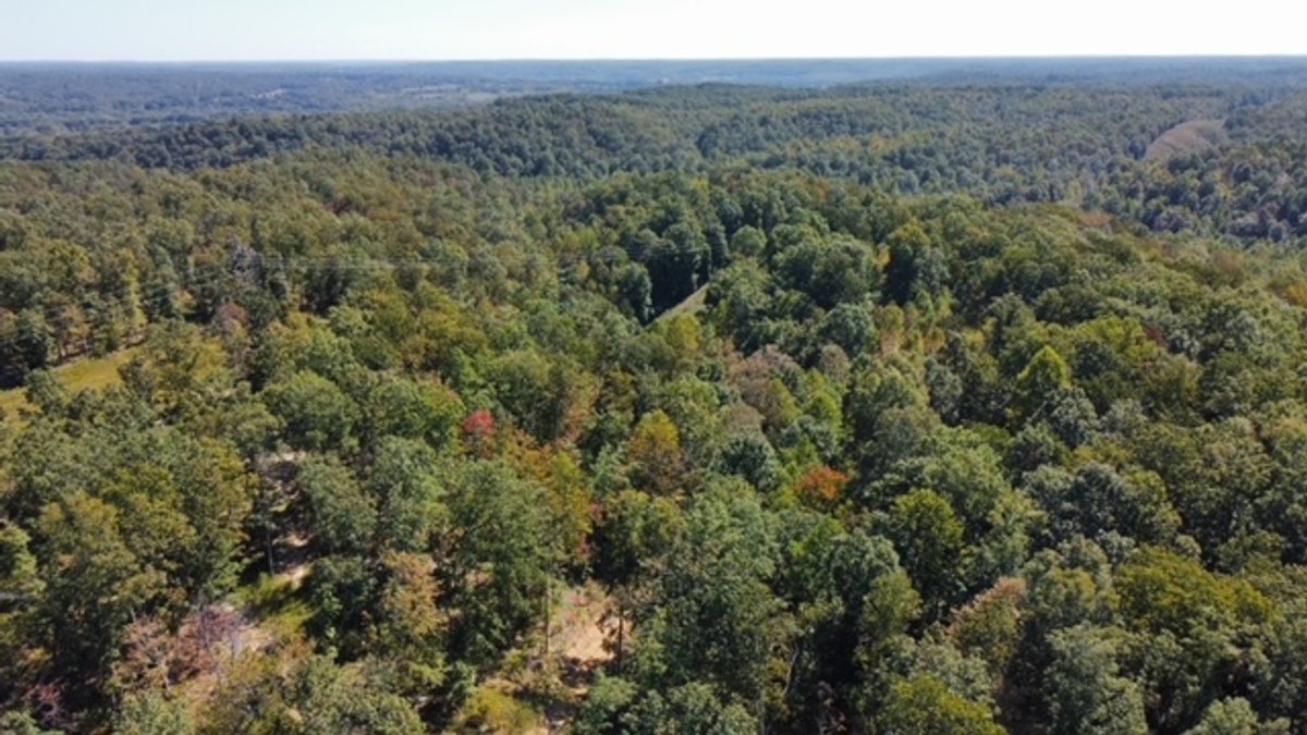 Image for 83 acres on Hwy 50 - 30 & 50 acre tracts - Hickman County