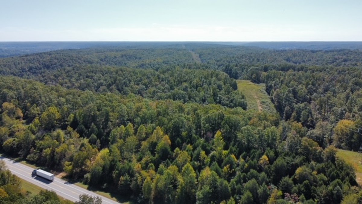 Image for 83 acres on Hwy 50 - 30 & 50 acre tracts - Hickman County