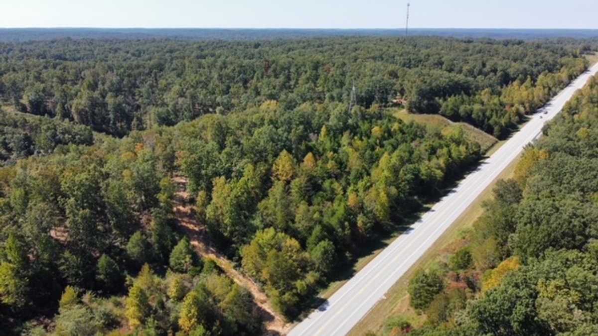 Image for 83 acres on Hwy 50 - 30 & 50 acre tracts - Hickman County
