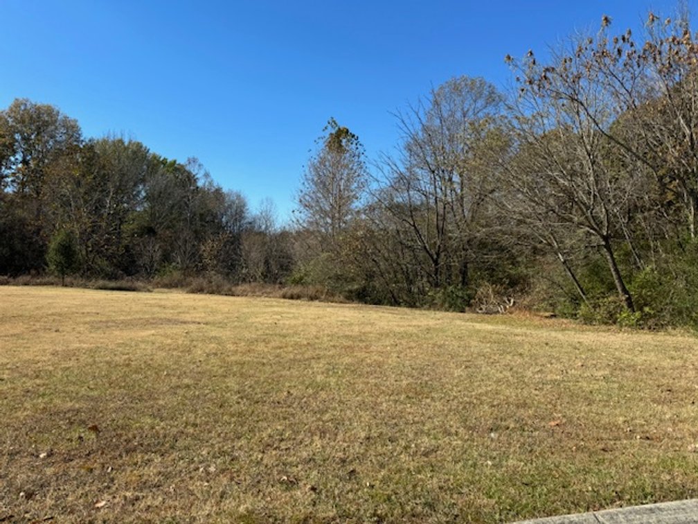 Image for Fairview Premium Development - 40 acres on Fairview Blvd