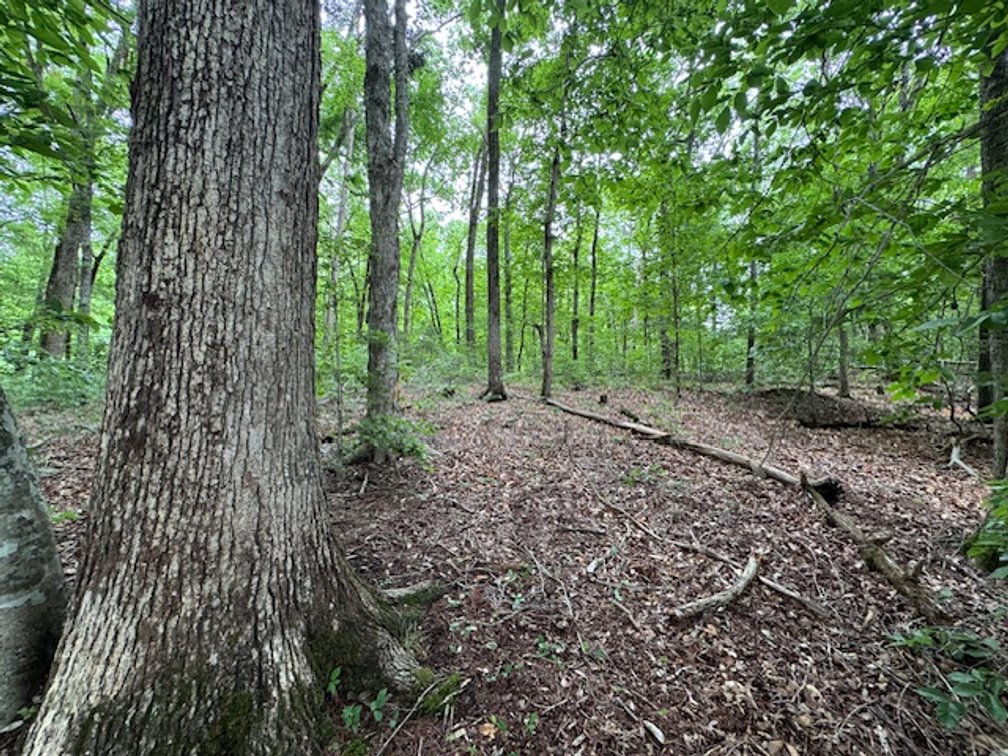 Image for Buffalo River - 5.5 acres on paved road with utilities - Perry County