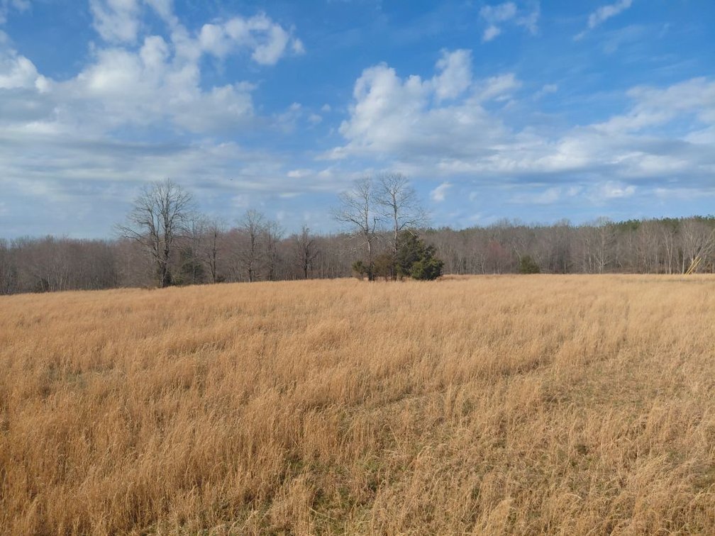 Image for Cabin & 190 acres in Wayne County - 2 Properties