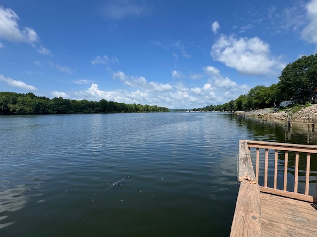 Image for Tennessee River Waterfront Retreat - 3 Beechview Drive Lots - Clifton