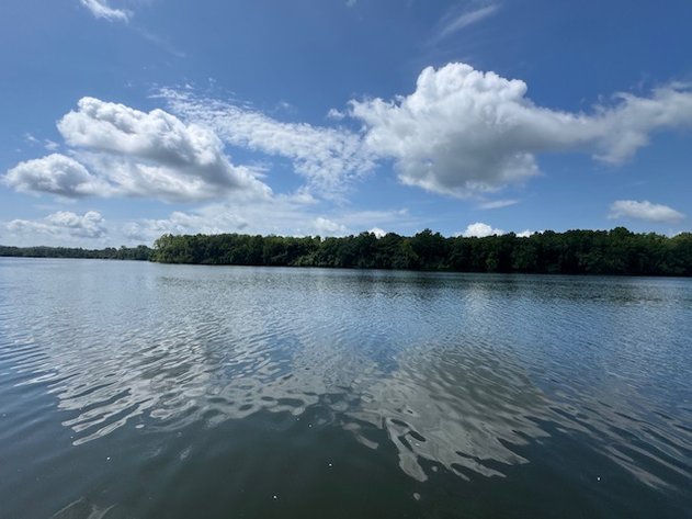 Image for Tennessee River Waterfront Retreat - 3 Beechview Drive Lots - Clifton