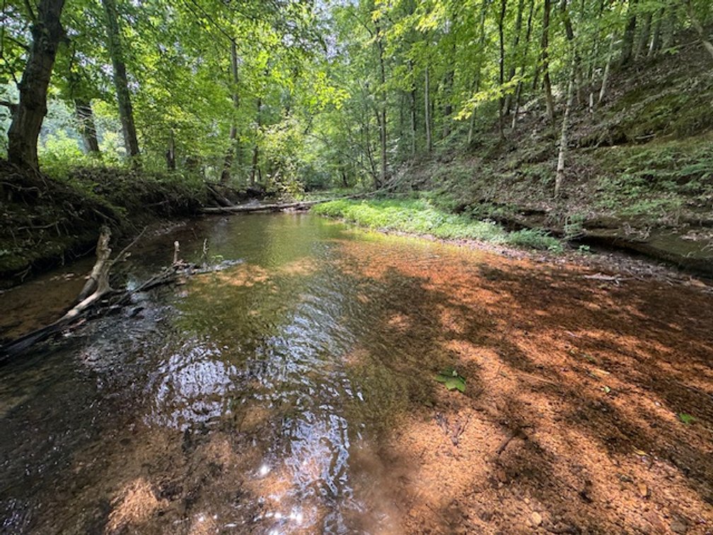 Image for Hassell Creek Hideaway - Log Home & 6 Acres