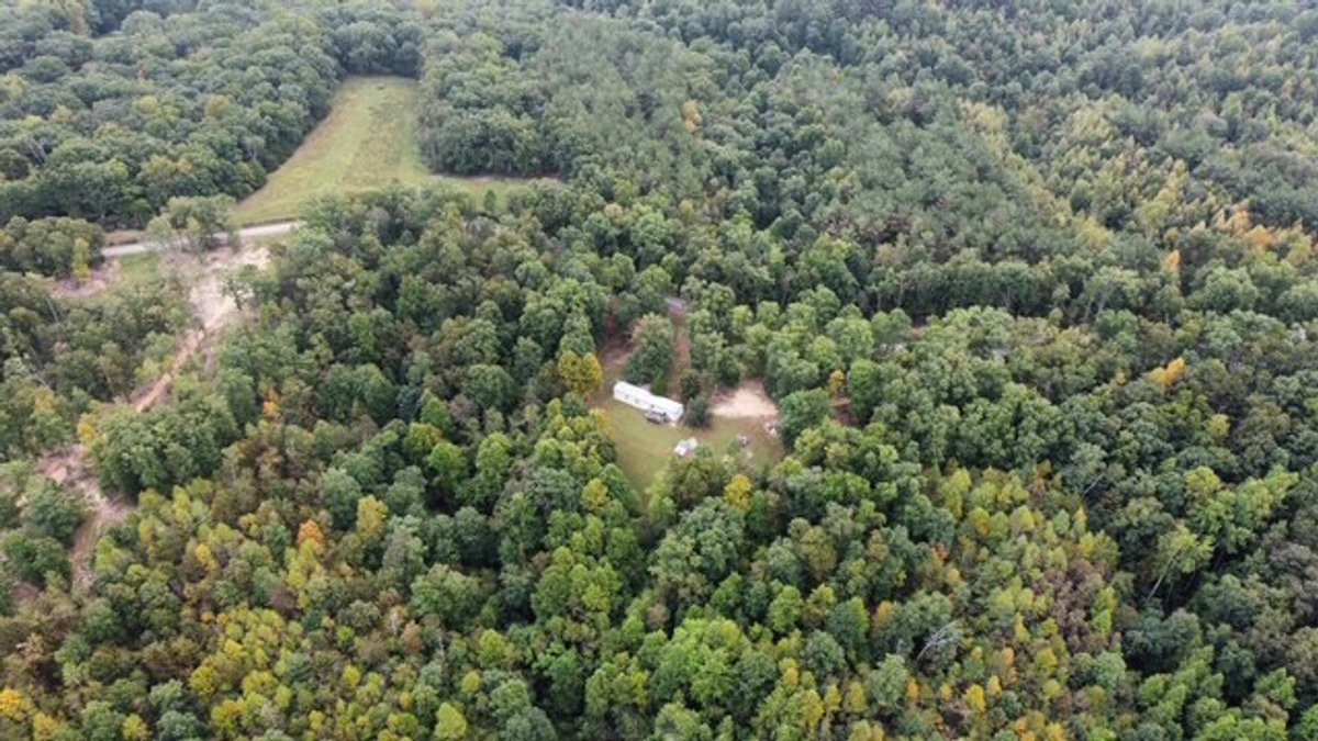 Image for 72.83 acres - House / Cabin / Woods & Trails - Bell Branch