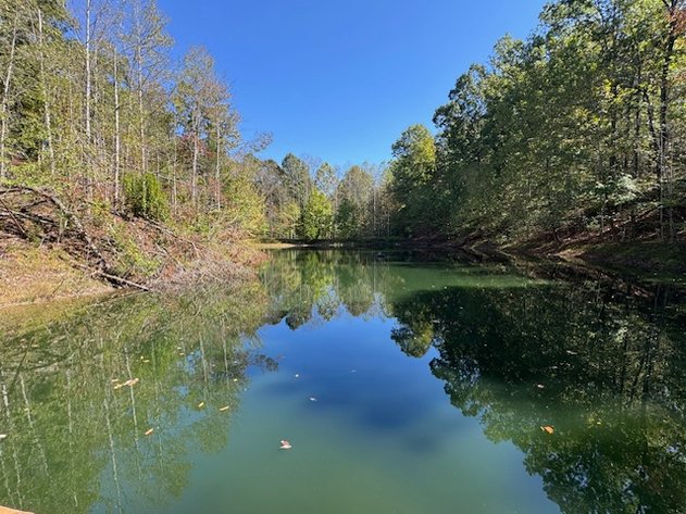 Image for Cabin & Lake - 44.5 acres on Hwy 50 in Hickman County - Joins 800-acre WMA!