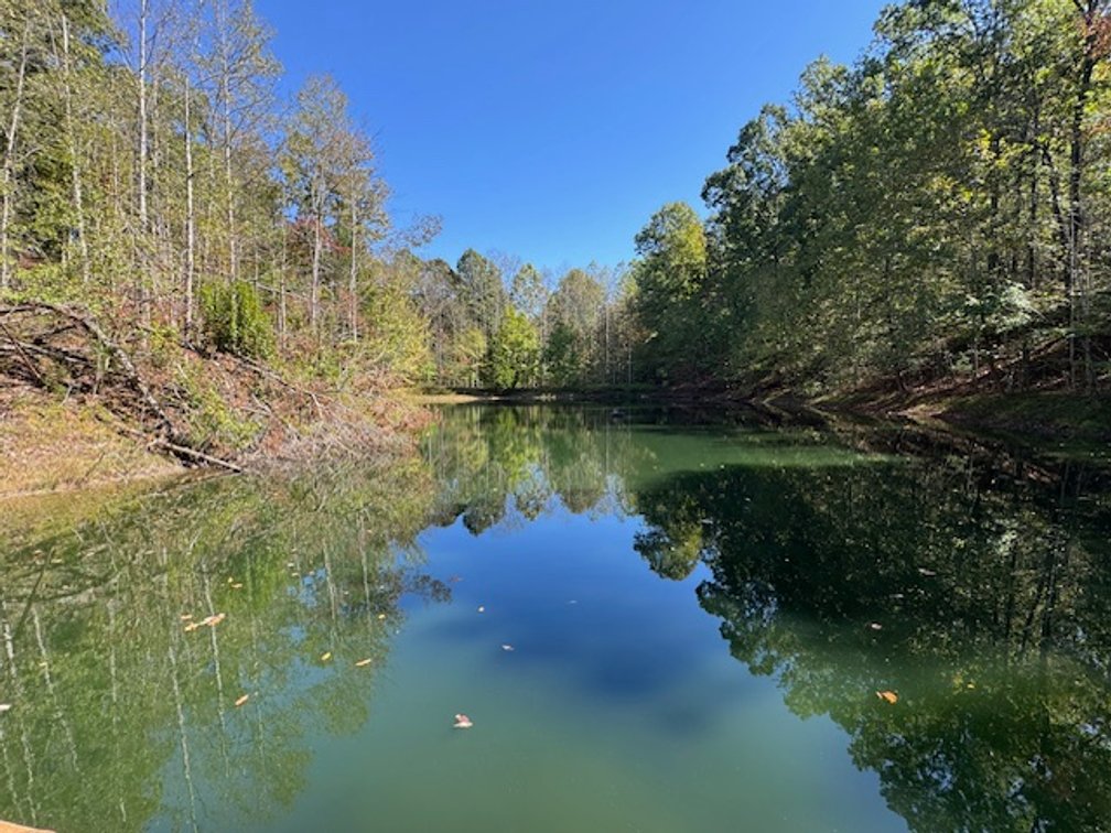 Image for Cabin & Lake - 44.5 acres on Hwy 50 in Hickman County - Joins 800-acre WMA!