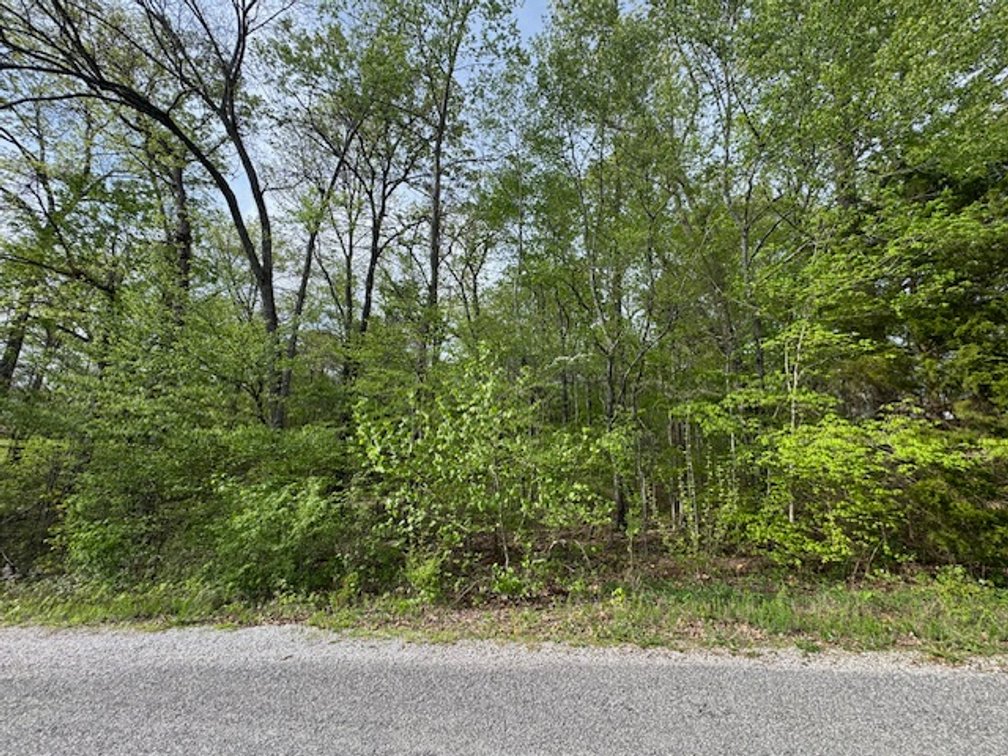 Image for Vacant Lot - 1 Acre in Beacon Light Estates - Bon Aqua, TN