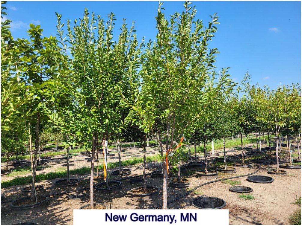 Image for Nursery Overstock May 2027