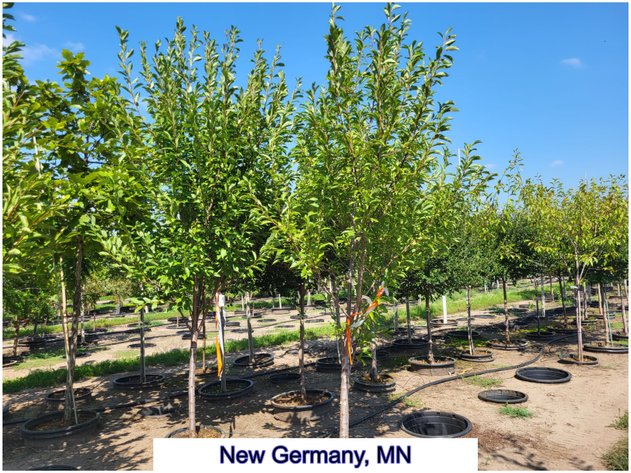 Image for Nursery Overstock May 2027