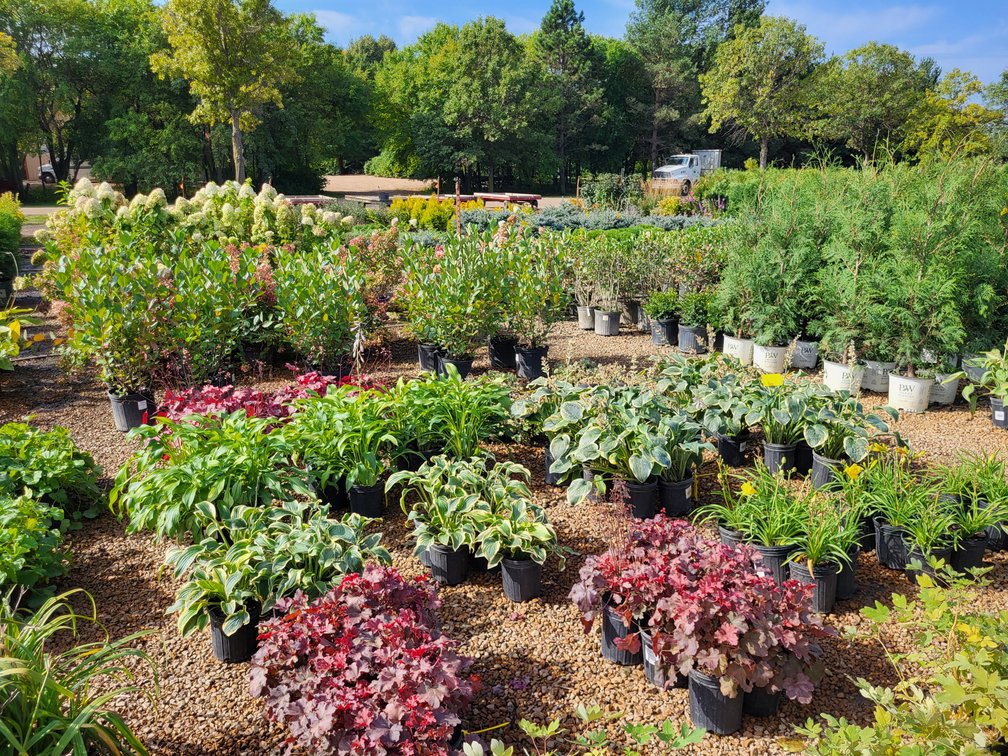 Image for Nursery Overstock September 2027