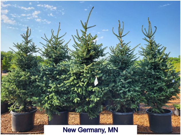 Image for Nursery Overstock September 2027