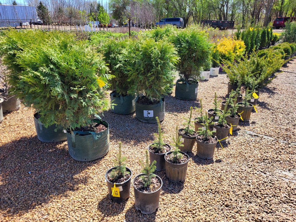 Image for Nursery Overstock Spring 2025