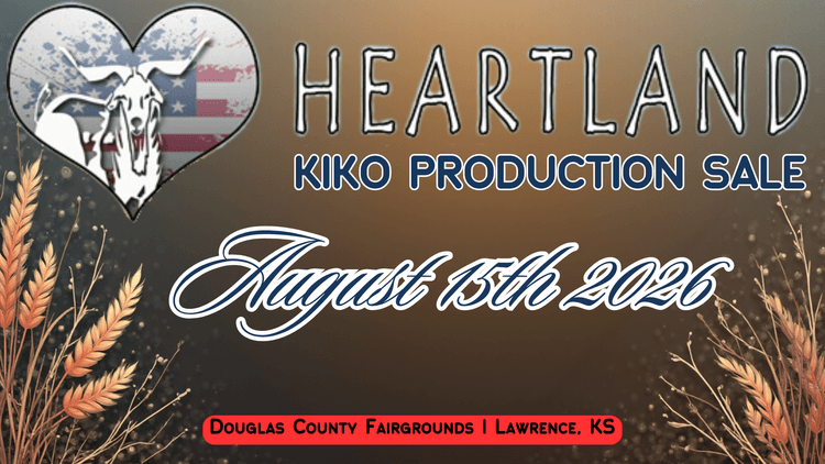 Image for 2026 | Heartland KIKO Production Sale