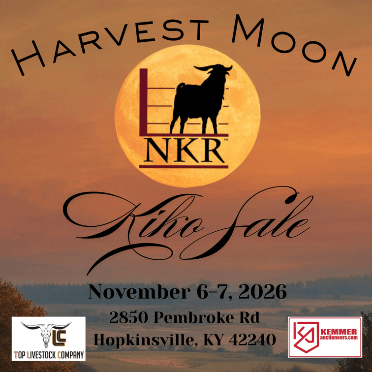 Image for 2026 | NKR Harvest Moon Sale